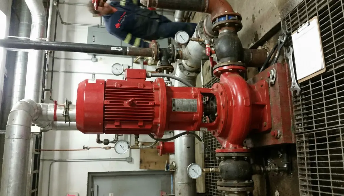 vertical inline fire pump replacement cost